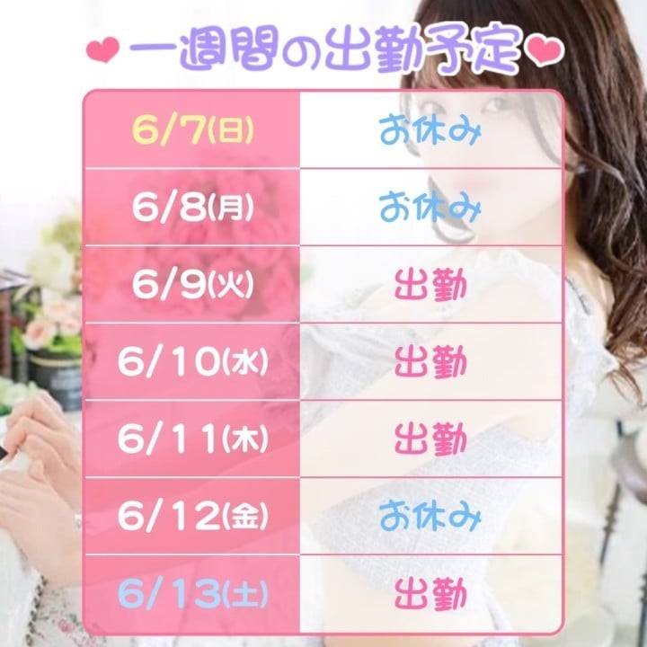 出勤予定です🐾