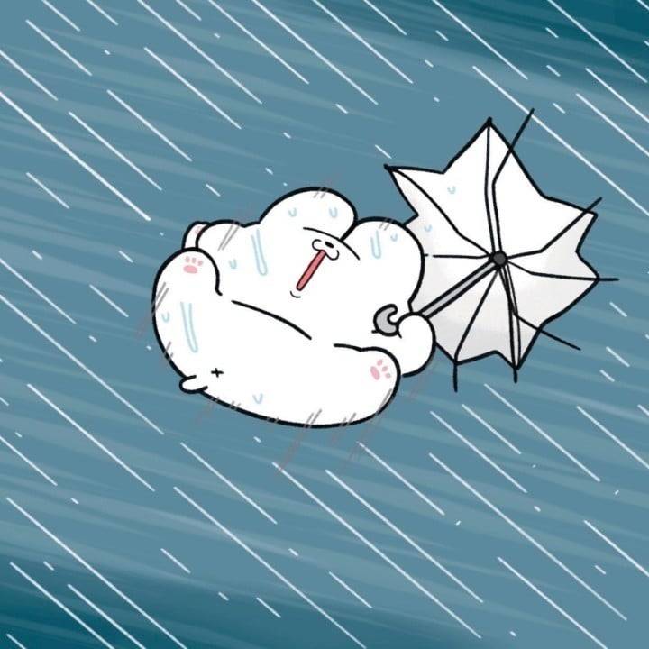 おはようございます☀️