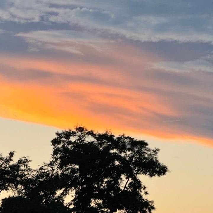 🌆夕日って朝焼けと違って哀愁を感じませんか？