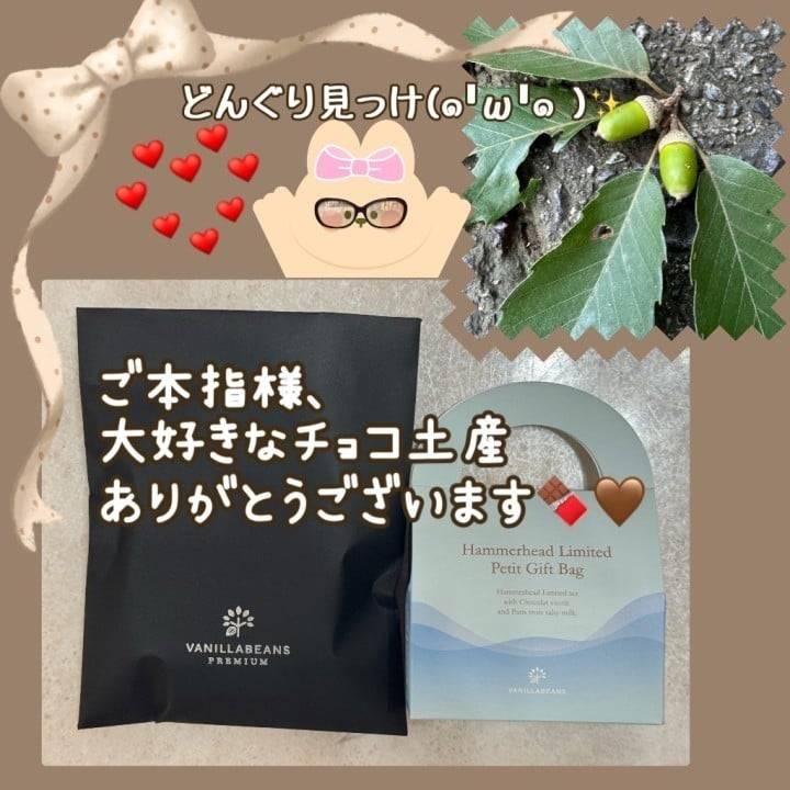 夏も後半戦！早すぎる秋を少しだけ…