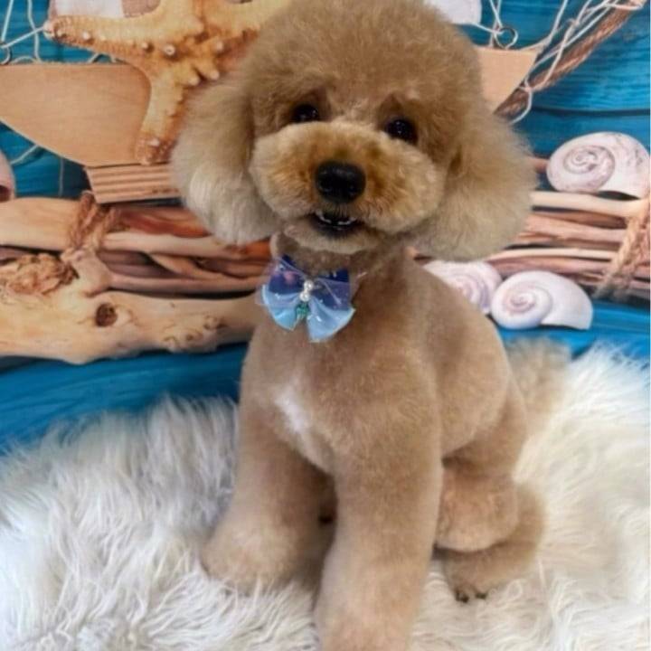 出勤中ワン🐶