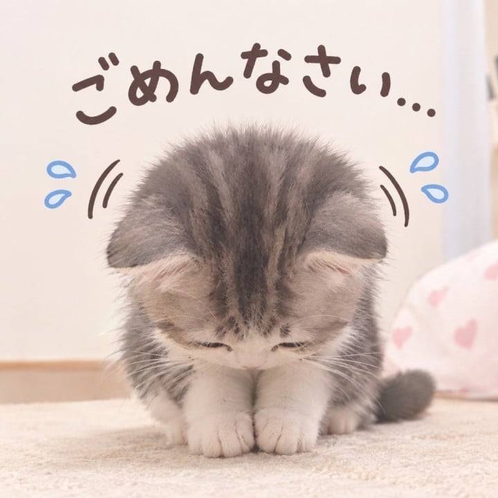 ありか
