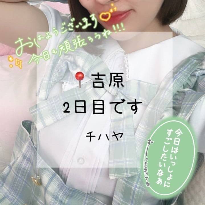 おはようございます☀️