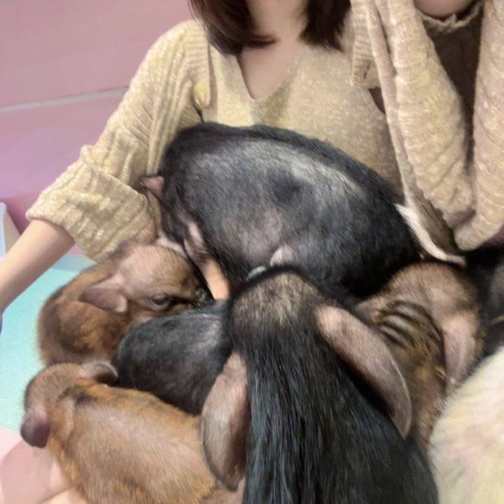 昨日はありがとう😸