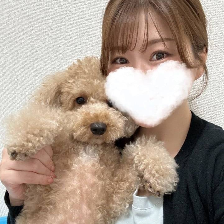 晴天🐶
