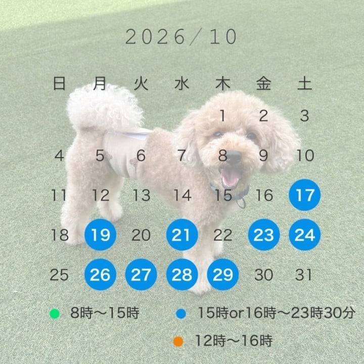 スケジュール🗓️