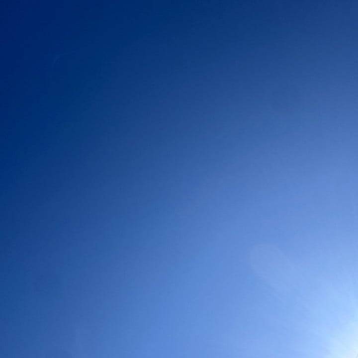おはようございます！お散歩最高！🚶‍♀️