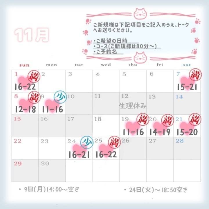 11月のスケジュール、更新です✨️