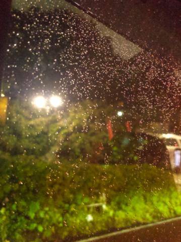 雨の日だけの⭐️