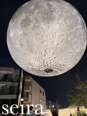 🌙せいらはどこに隠れているでしょう？？🌙