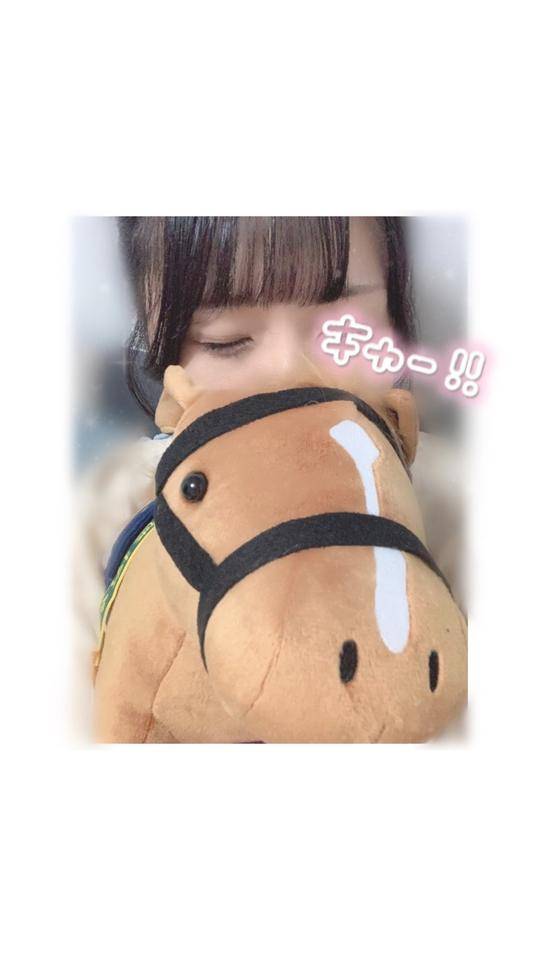 ..アイドルホース🐴