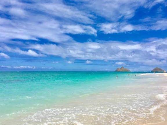 夏の匂い🌊