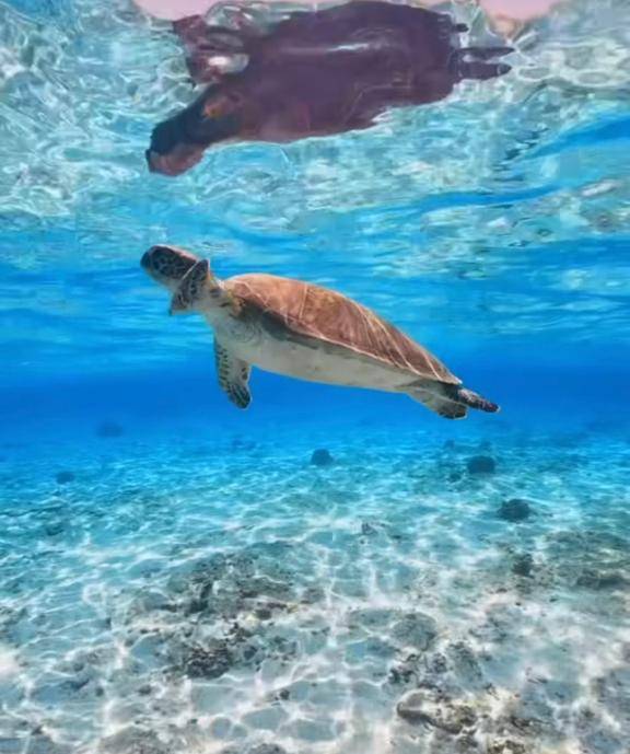 今日は誰と会えるのかな☺️