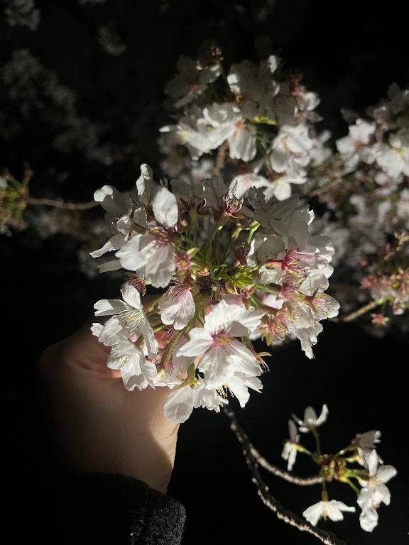 贅沢で幸せな時間⌛️