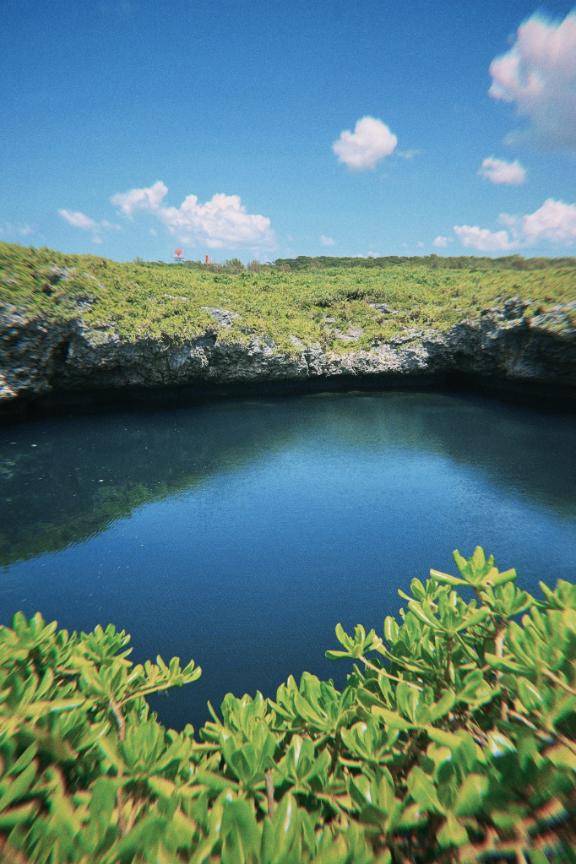 大人とこういう話がしたい