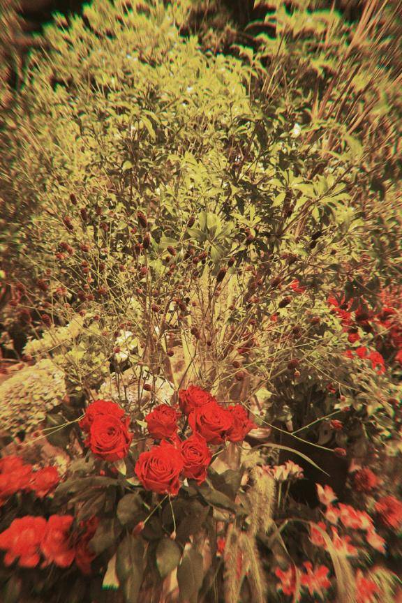 上野動物園に行こう！