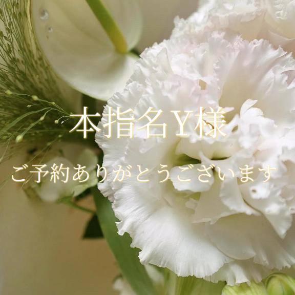 本指名Y様♡