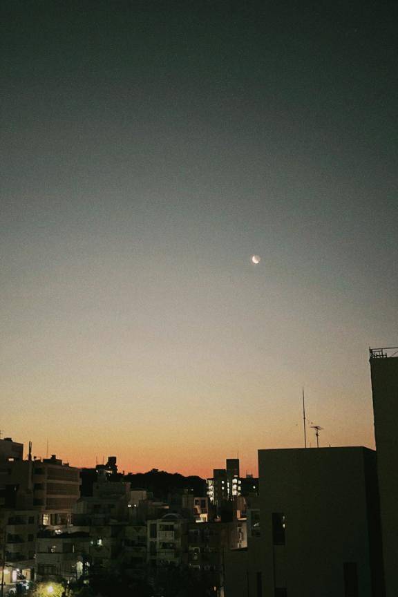 月ってどんな味？