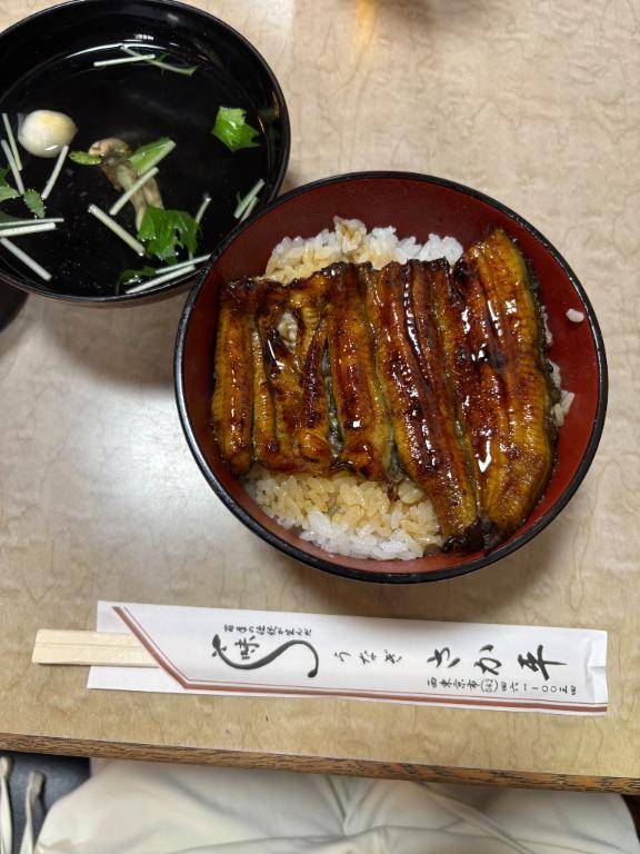 チャッピーの嘘吐き