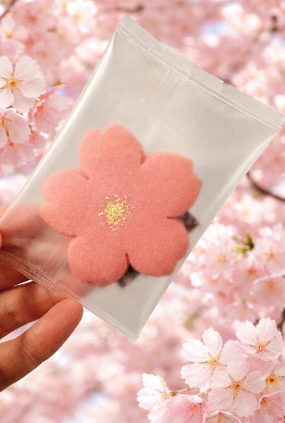 満開だって🌸