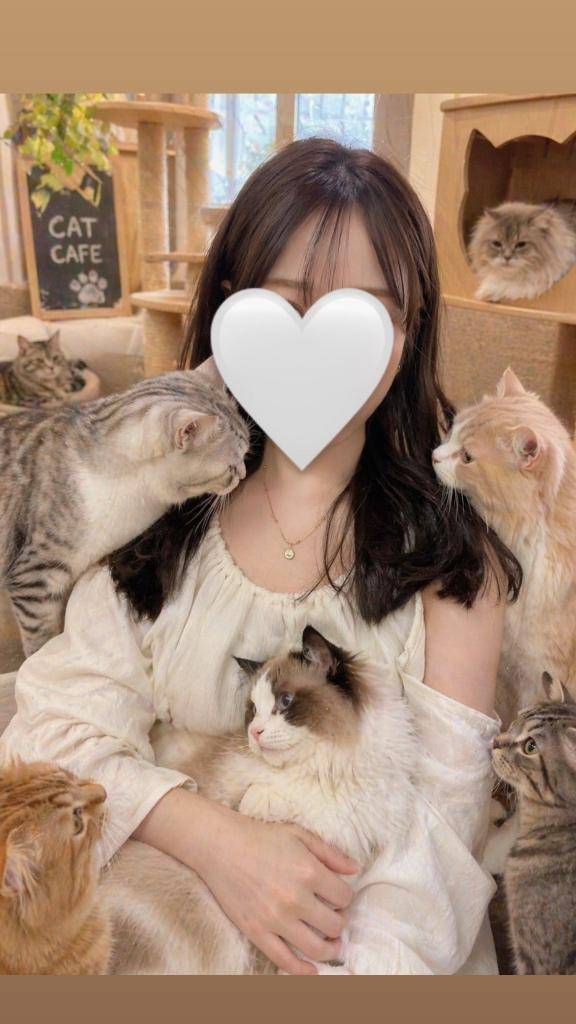 猫に囲まれたい
