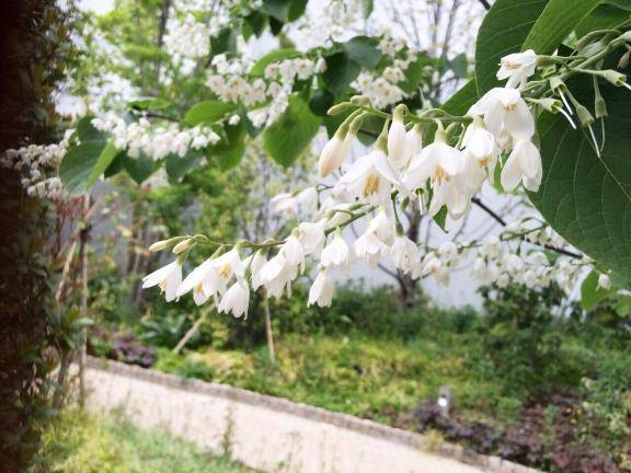 今日で、一区切り🪷