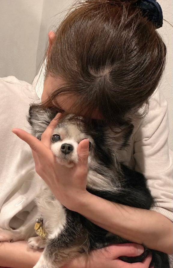 噛み砕いてみせる