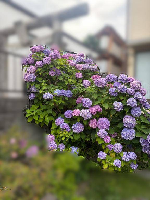 天気