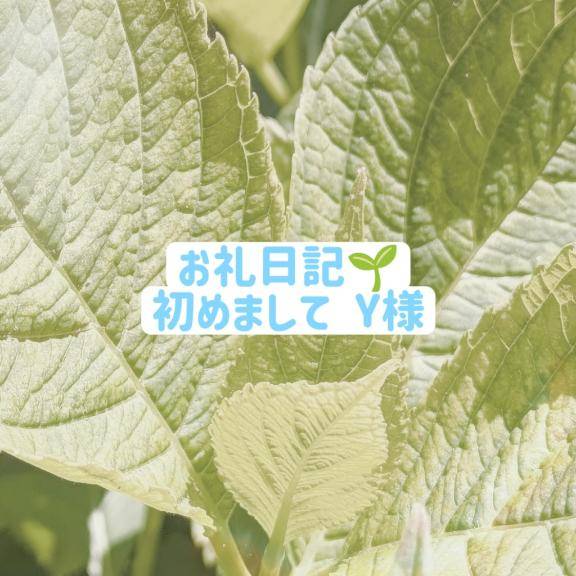 お礼💌久しぶりに