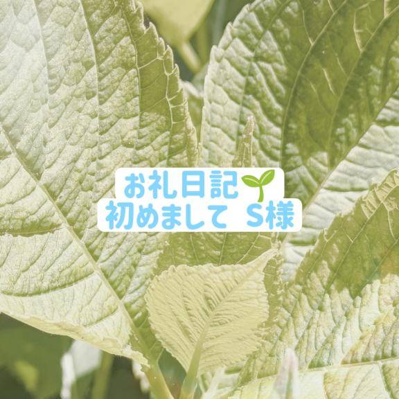 お礼💌時間が早く感じました