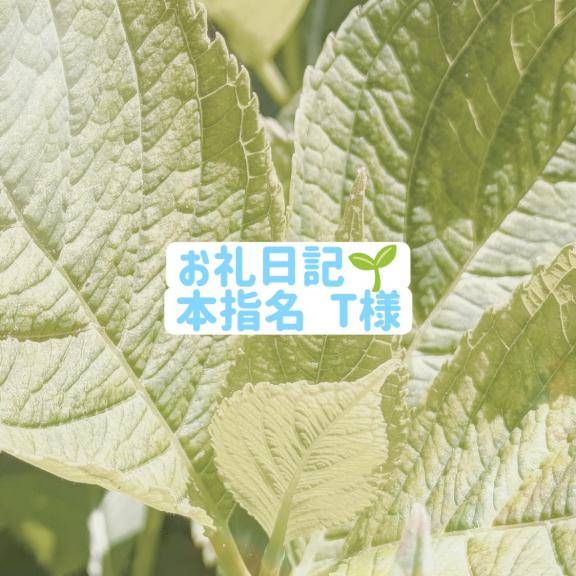 お礼💌場所が変わっても