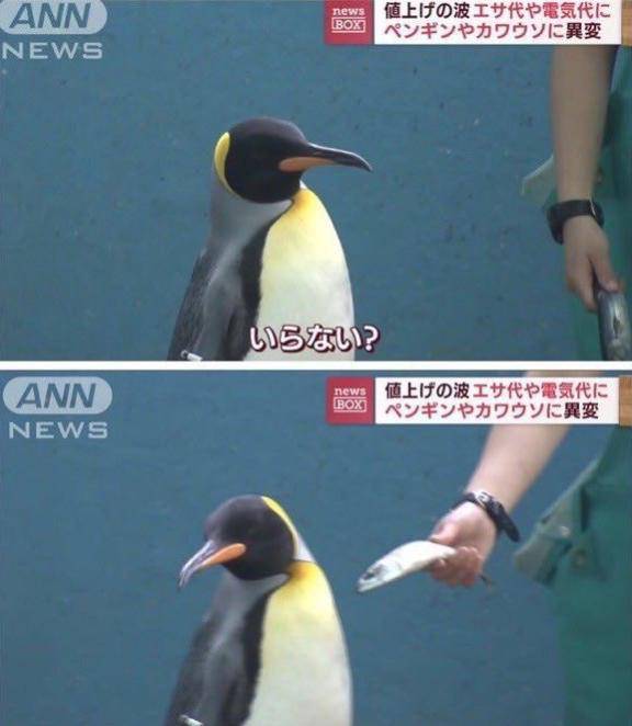 枠空いてます！
