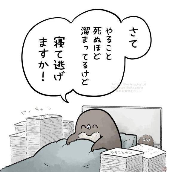 𝐧𝐞𝐱𝐭…🧸𓈒 𓏸