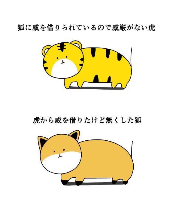 本日🈵