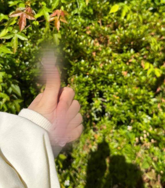 おはよう☀️