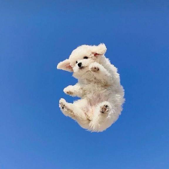 シュッ( ^-^)⊃≡