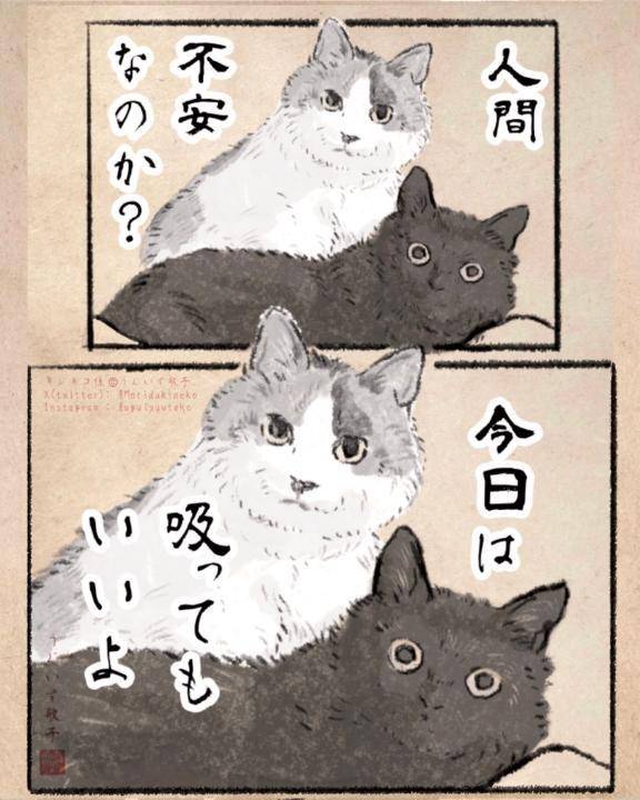 𝙉 𝙚 𝙭 𝙩 ︎ 🌸