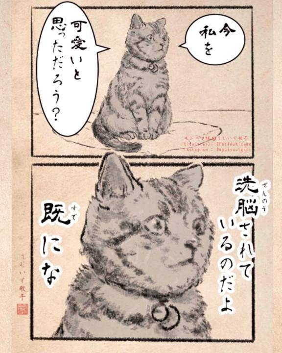 𝑁𝑒𝑥𝑡➯➱➩🈳