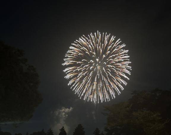 次回は 土曜日🎇
