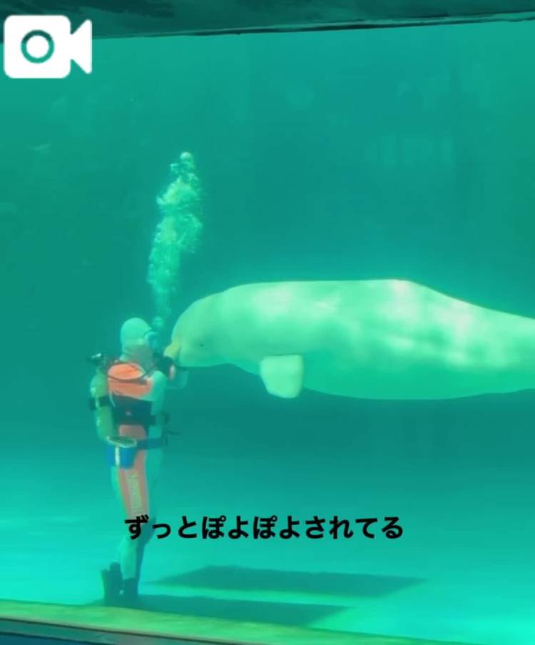 ぽよぽよ