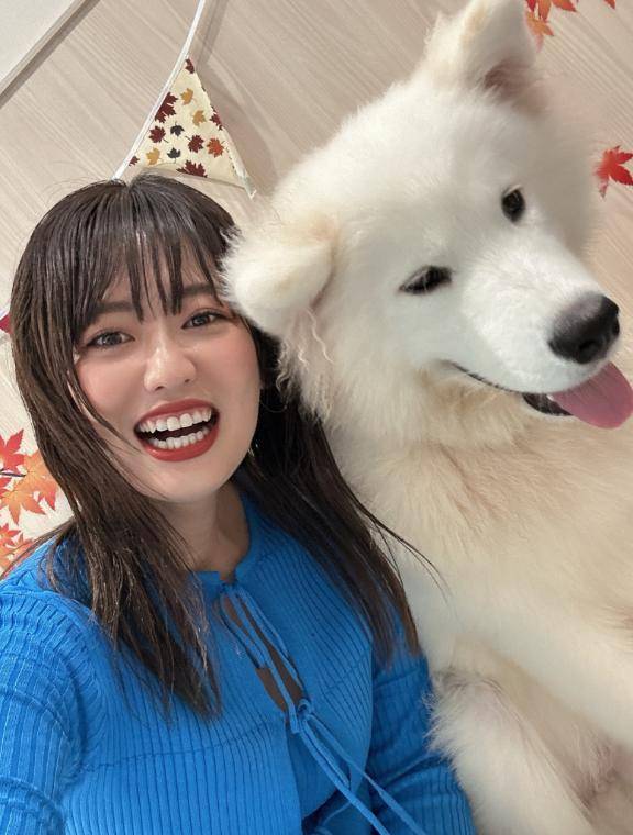 犬 と なお