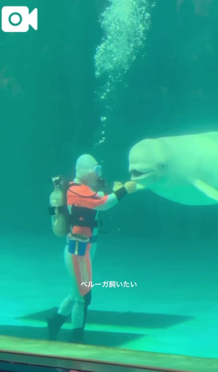 ぽよぽよ 2