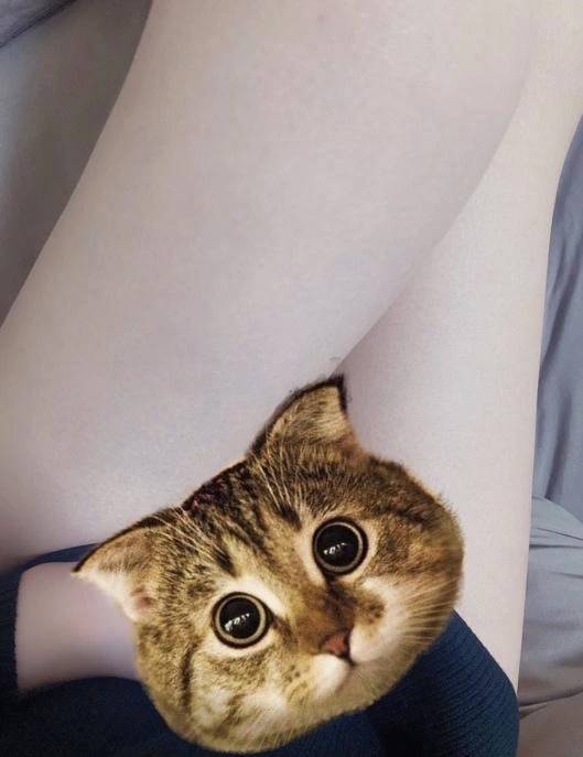 🐱20:30くらいから🈳❕