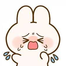 すみません🙇‍♀️