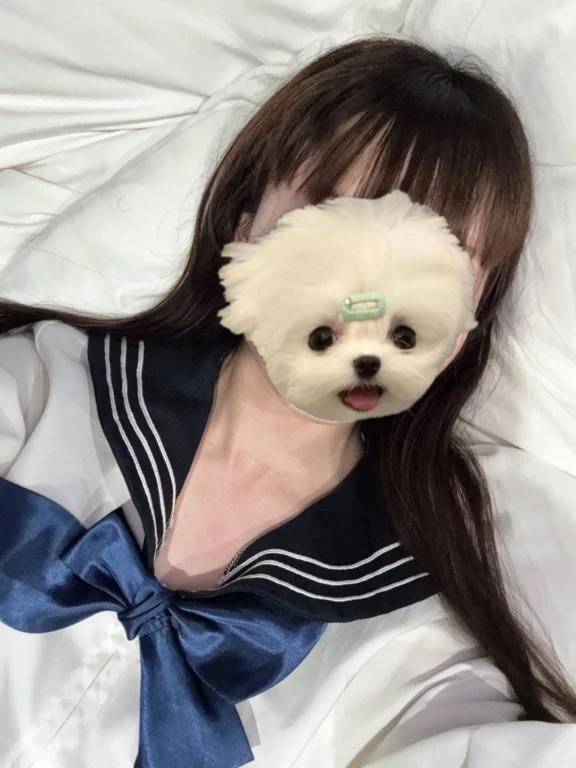 共通点⭐️