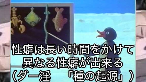𝕟𝕖𝕩𝕥➯➱➩🈳