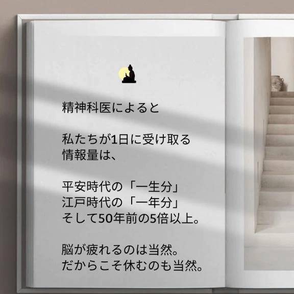 φ( •ω•́  )ﾌﾑﾌﾑ...