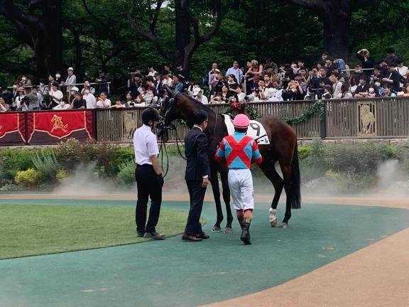 まって、三浦皇成勝った