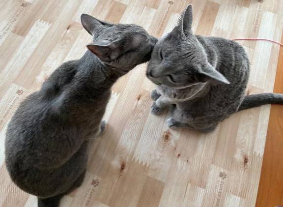 ち○ぽを出していいのは