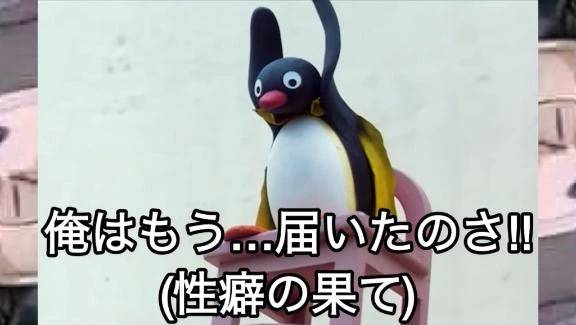 本日も( ･ㅂ･)و ̑
